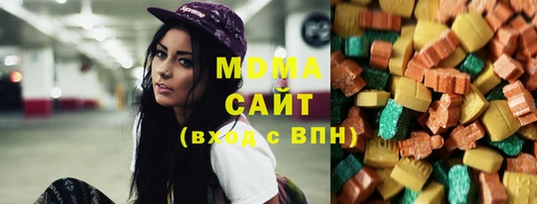 шишки Ельня