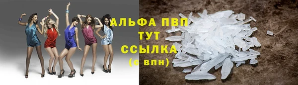 винт Аркадак