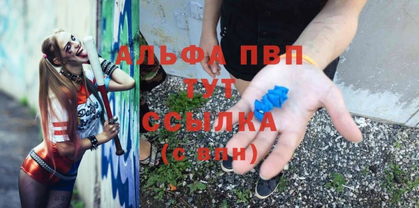 прущие грибы Арсеньев