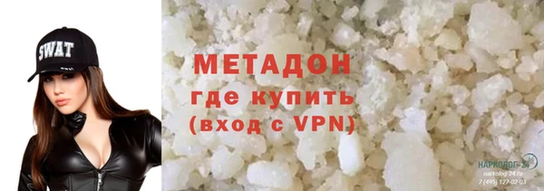 шишки Ельня