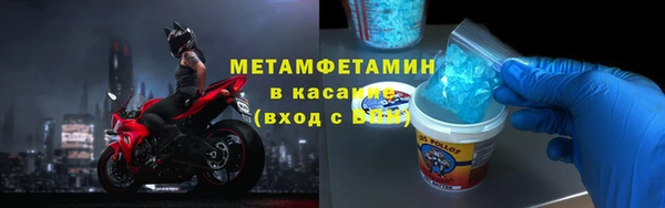 шишки Ельня