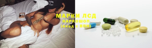 прущие грибы Арсеньев