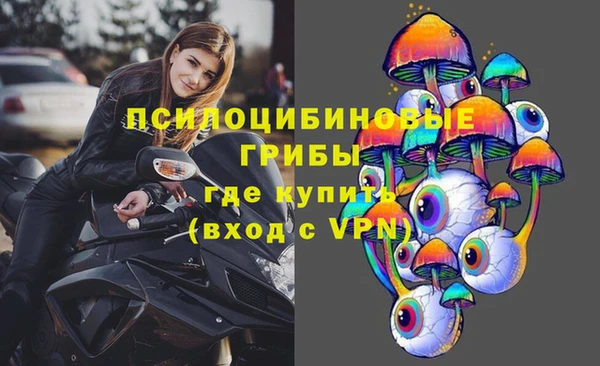 ALPHA PVP Алзамай