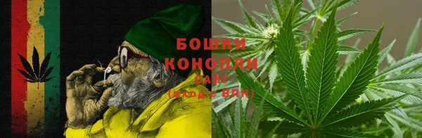 прущие грибы Арсеньев