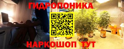 spice Аргун