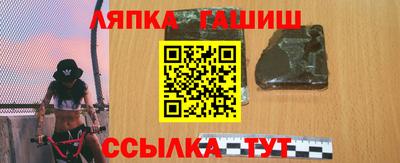 мяу мяу мука Аргун