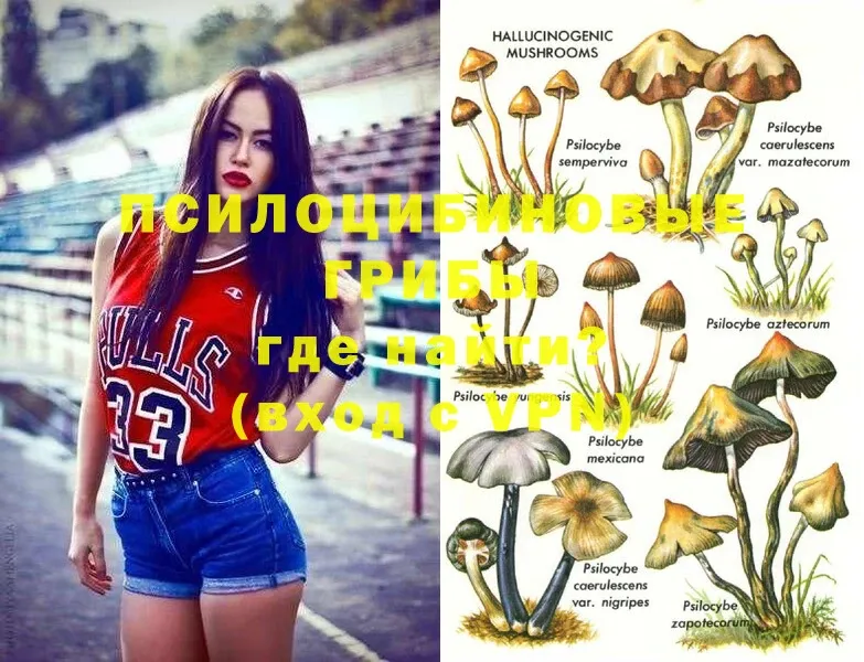 Псилоцибиновые грибы Magic Shrooms  мориарти клад  Белово 