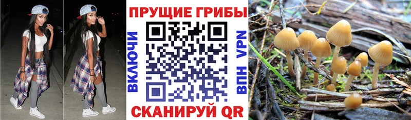 как найти закладки  Белово  Галлюциногенные грибы ЛСД 