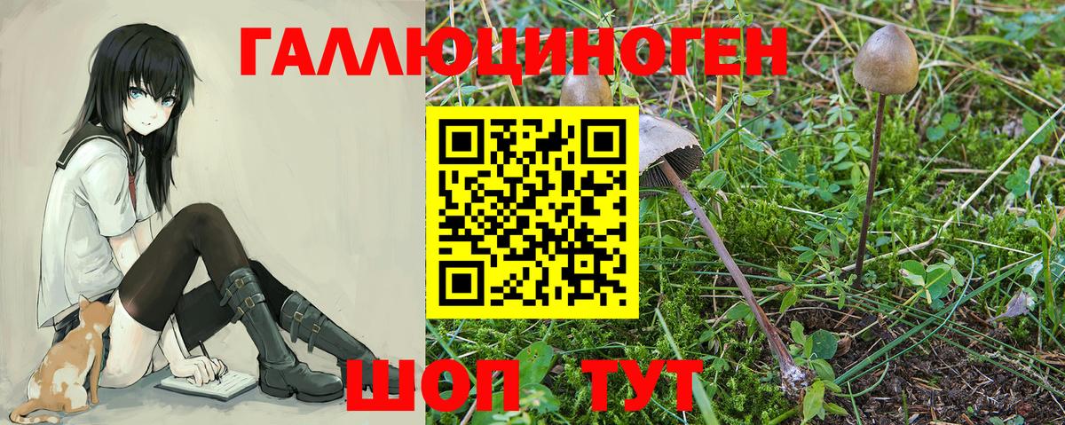 Белово  Псилоцибиновые грибы ЛСД  Вход с VPN 