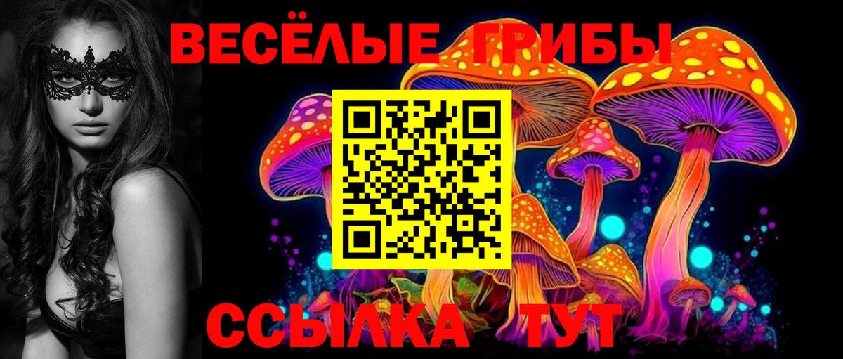 Галлюциногенные грибы Psilocybine cubensis Белово